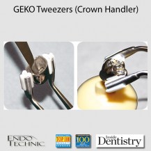 geko17