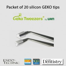 geko2