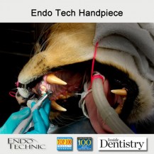 handpiece_lion